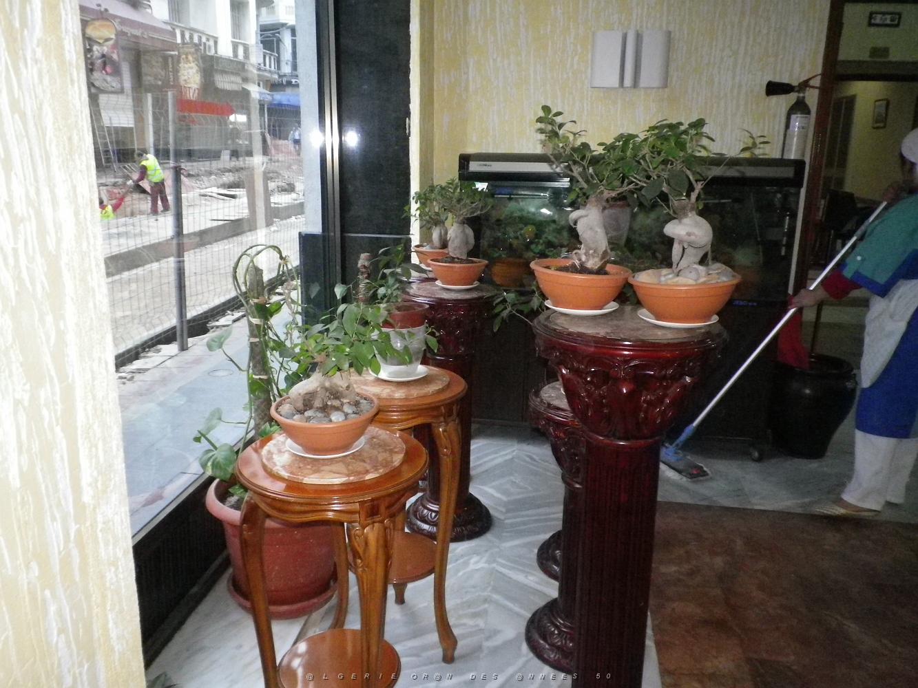 1916 interieur de l'hotel timgad a oran place mareuil .JPG